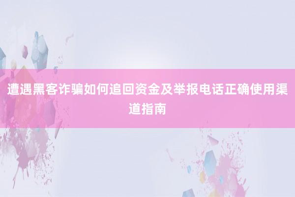 遭遇黑客诈骗如何追回资金及举报电话正确使用渠道指南